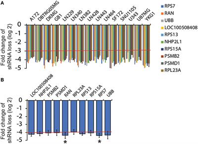 Functional Blockade of Small GTPase RAN Inhibits Glioblastoma Cell Viability